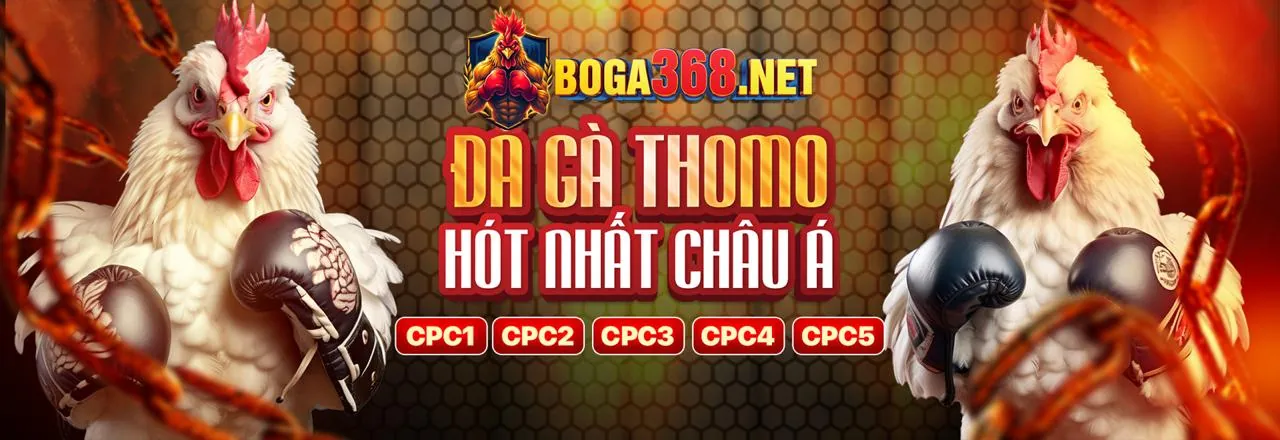 Chính sách cá cược có trách nhiệm của AW8 Android